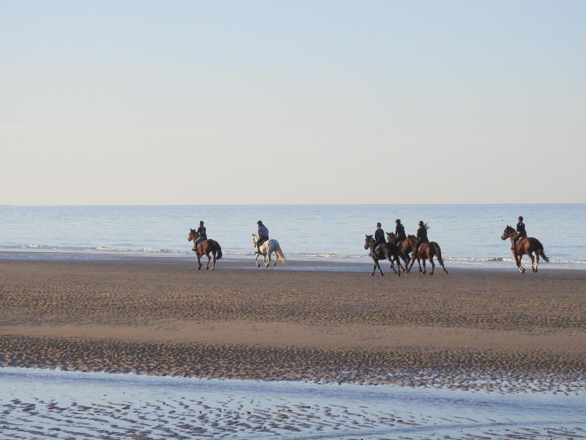 Les 3 Mouettes A Cabourg - Cote Normande Daire Dış mekan fotoğraf