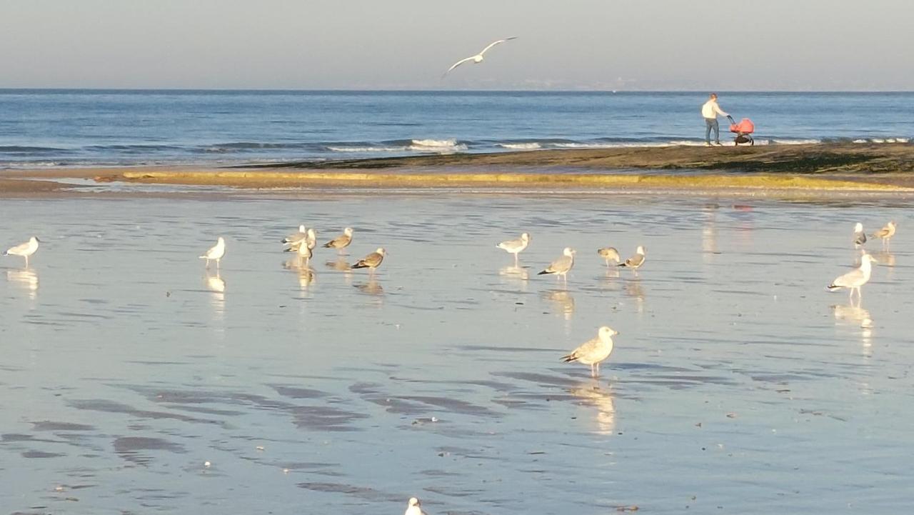 Les 3 Mouettes A Cabourg - Cote Normande Daire Dış mekan fotoğraf